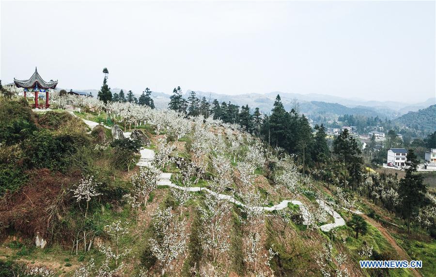 CHINA-GUIZHOU-SPRING SCENERY (CN)