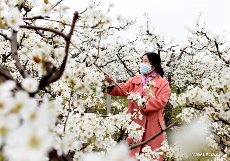 CHINA-SPRING-FARM WORK (CN)