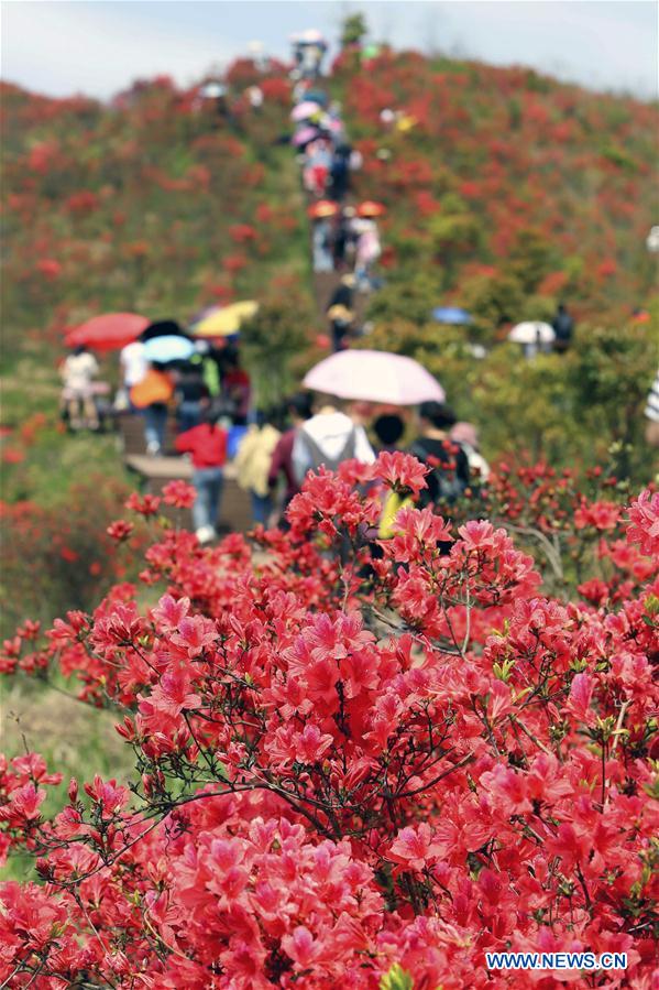 #CHINA-SPRING VIEWS (CN)