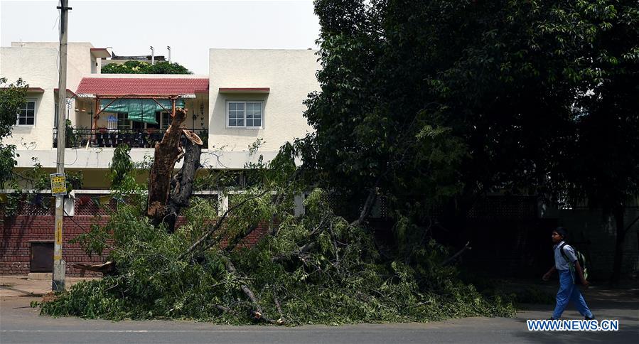 INDIA-NEW DELHI-STORM