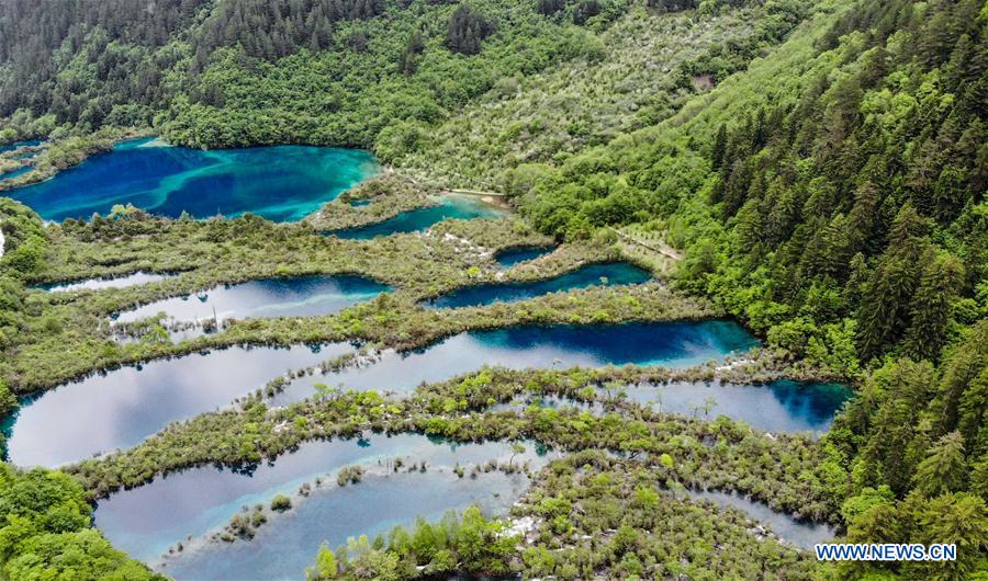 CHINA-SICHUAN-JIUZHAIGOU-SCENERY-EARLY SUMMER (CN)