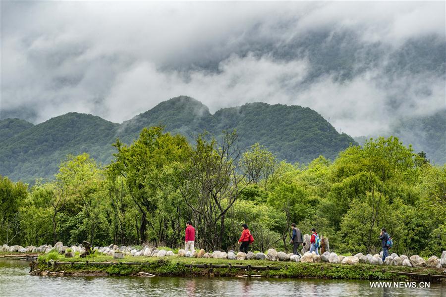 CHINA-HUBEI-DAJIUHU WETLAND-SCENERY (CN)