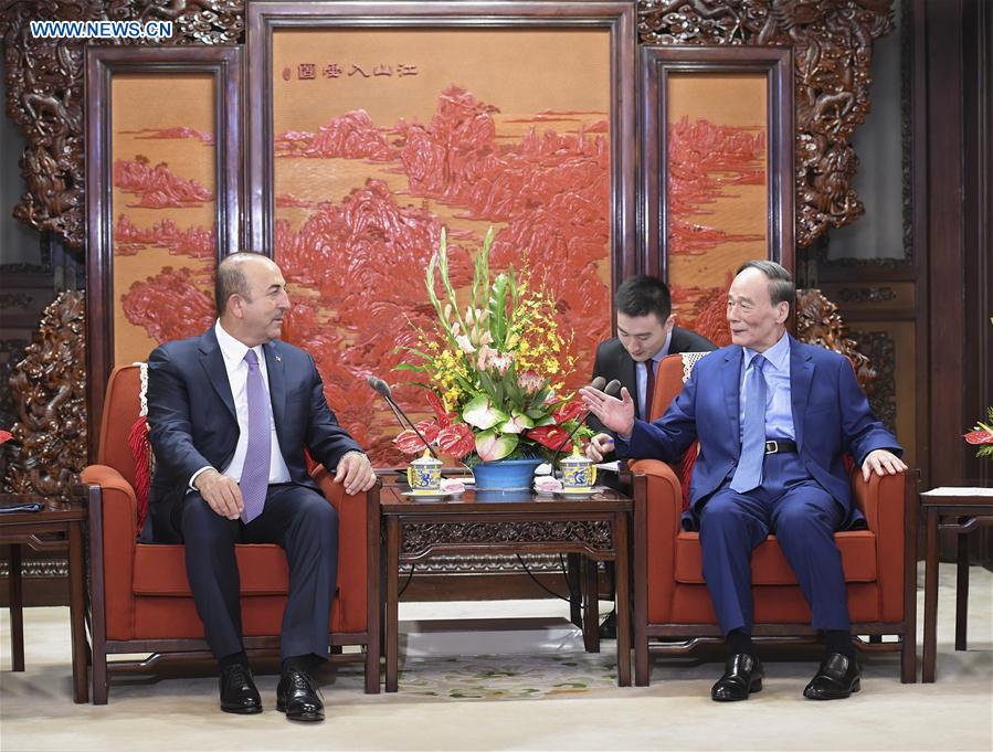 CHINA-BEIJING-WANG QISHAN-TURKISH FM-MEETING (CN)