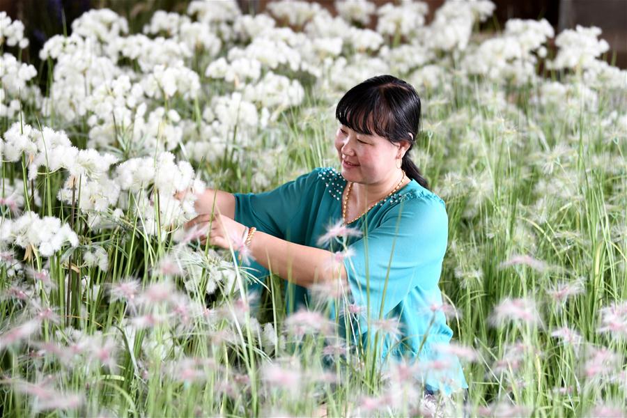 CHINA-HEBEI-ECONOMY-FLOWER-HANDICRAFT-BUSINESS (CN)