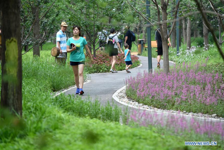 CHINA-BEIJING-FOREST PARK (CN)