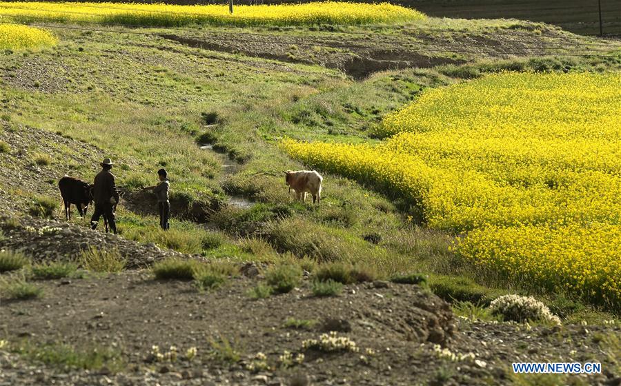 CHINA-TIBET-XIGAZE-SCENERY (CN)