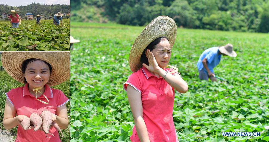 CHINA-GUANGXI-RONGSHUI-POVERTY ALLEVIATION (CN)