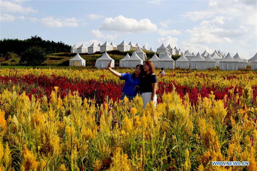 CHINA-YUNNAN-LUOPING-COLORFUL FLOWER FIELDS (CN)