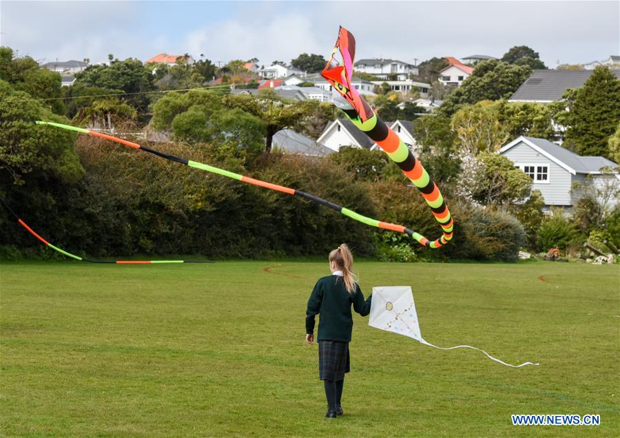 NEW ZEALAND-WELLINGTON-CHINESE CULTURE-KITE MAKING