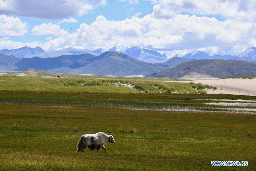 CHINA-TIBET-YARLUNG ZANGBO RIVER-SOURCE-PROTECTION (CN)