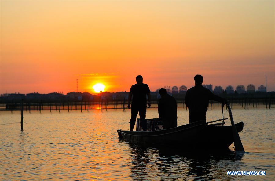 CHINA-JIANGSU-KUNSHAN-HAIRY CRAB CULTIVATOR (CN)