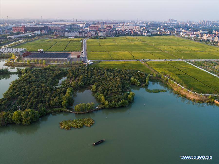 CHINA-HANGZHOU-AUTUMN HARVEST(CN)