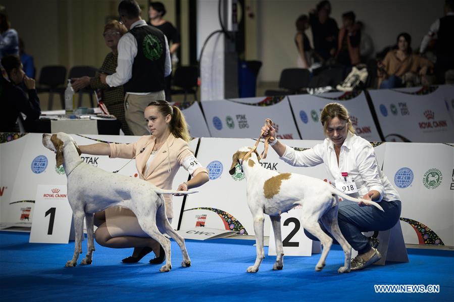 POLAND-NADARZYN-EURO DOG SHOW