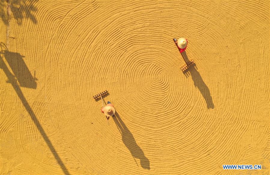 #CHINA-HUNAN-AUTUMN HARVEST (CN)