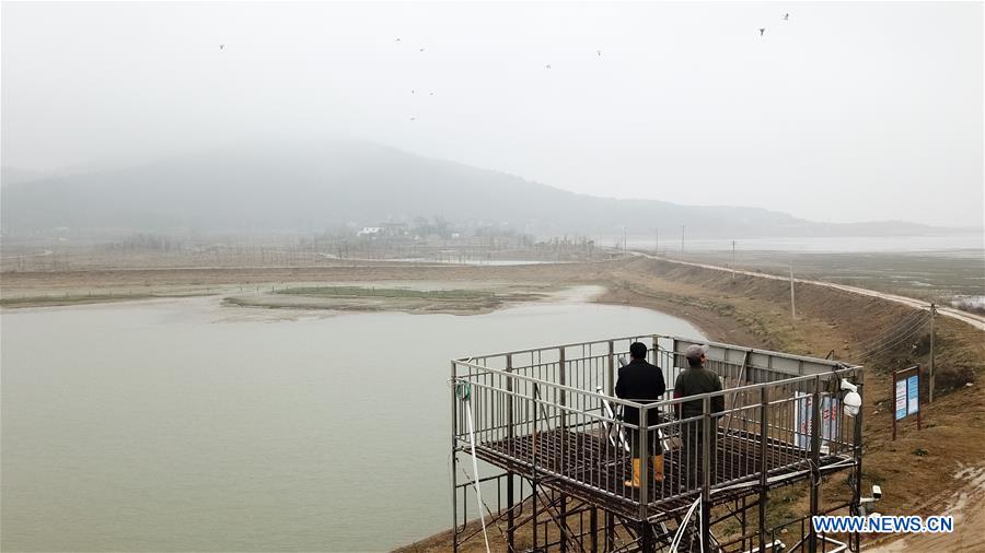 CHINA-ANHUI-MIGRANT BIRD-PROTECTOR (CN)