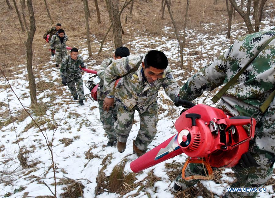 CHINA-SHANDONG-LAIXI-FOREST RANGER(CN)