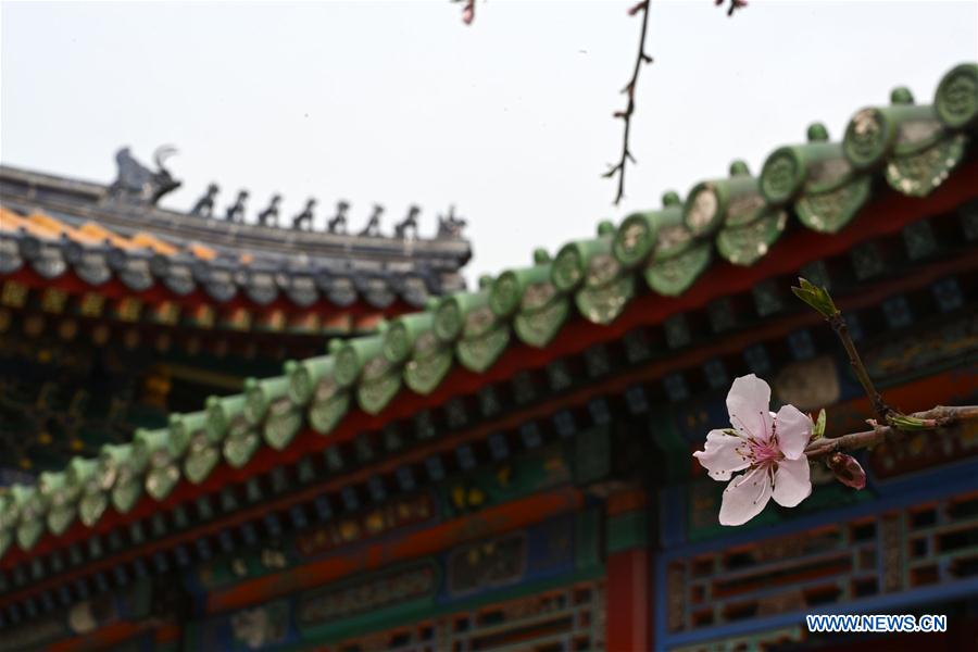 (InPalaceMuseum)CHINA-BEIJING-PALACE MUSEUM-FLOWERS (CN)