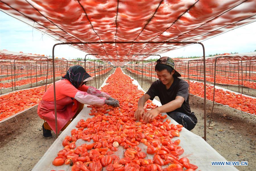 #BELT AND ROAD-FOOD-CONNECTION 