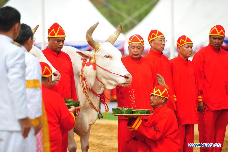 THAILAND-BANGKOK-PLOWING CEREMONY