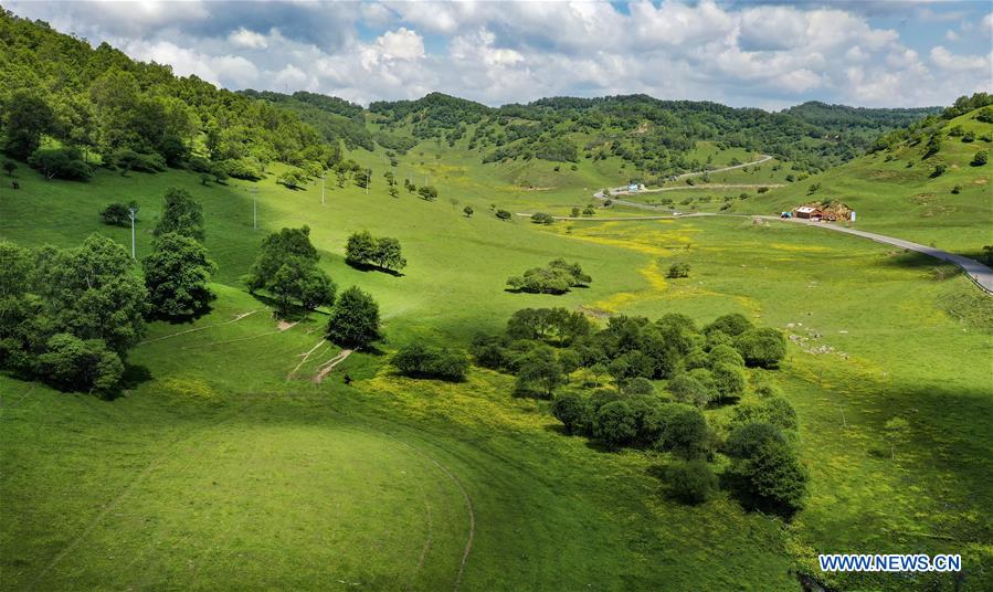 CHINA-SHAANXI-BAOJI-GUANSHAN GRASSLAND (CN)