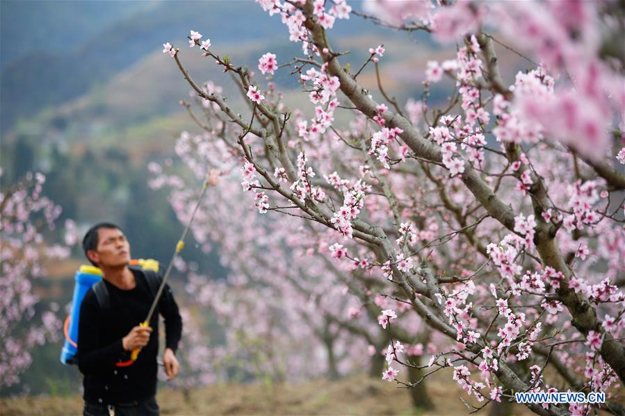 #CHINA-GUIZHOU-AGRICULTURE