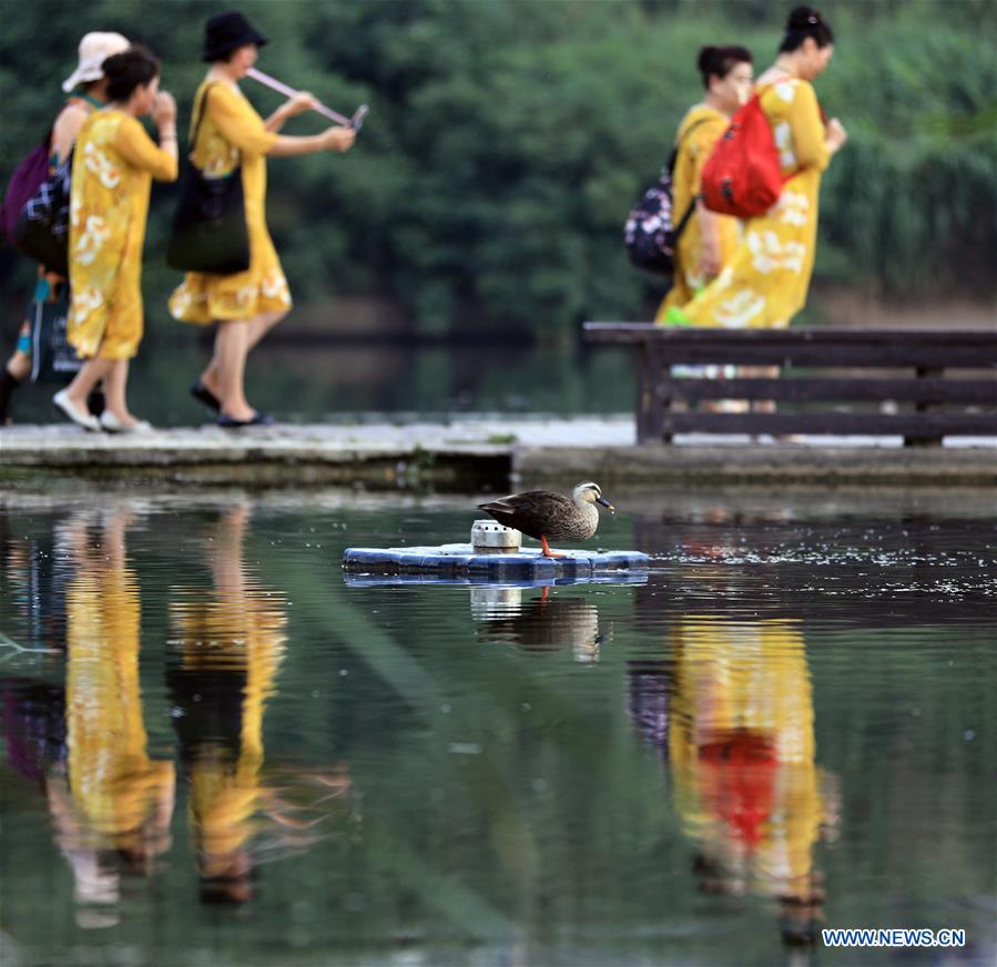 CHINA-DALIAN-WETLAND PARK-SCENERY (CN)