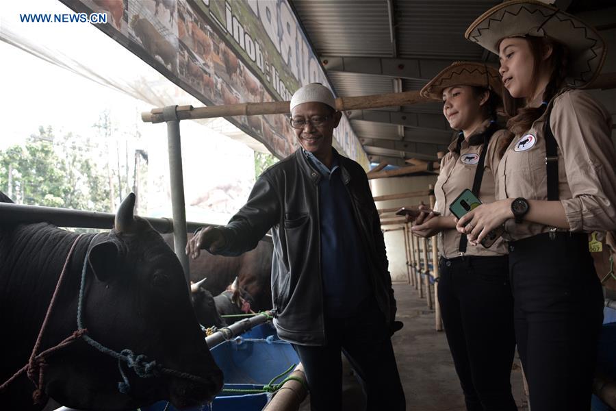 INDONESIA-WEST JAVA-LIVESTOCK-UPCOMING EID AL-ADHA