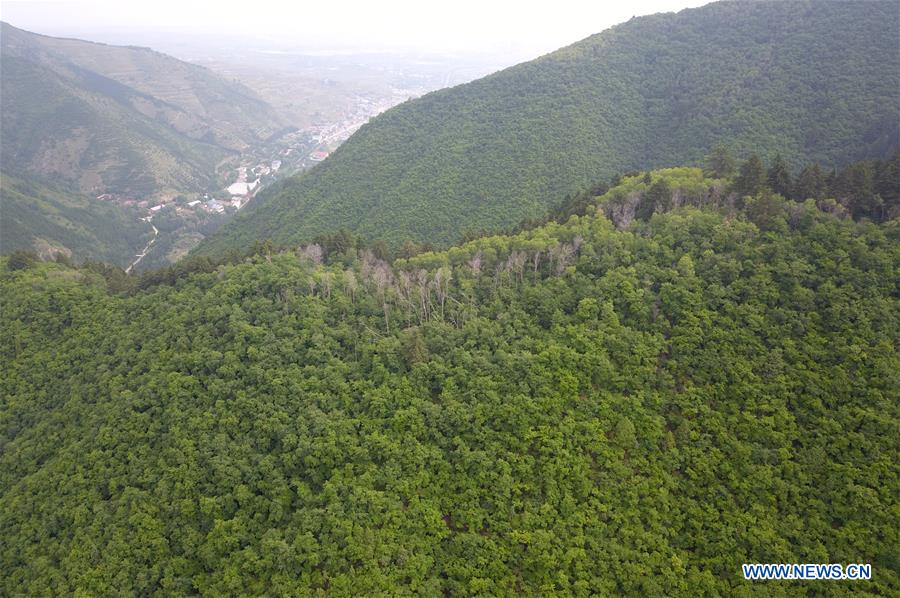 CHINA-GANSU-YUZHONG-NATURE RESERVE-SCENERY (CN)