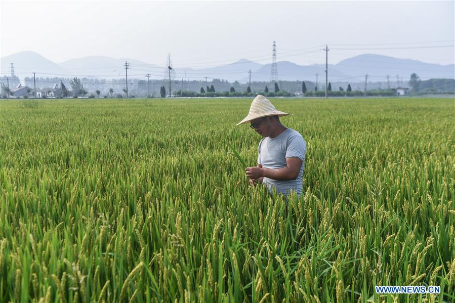 CHINA-ZHEJIANG-HUZHOU-AGRICULTURE-POLYCULTURE (CN)