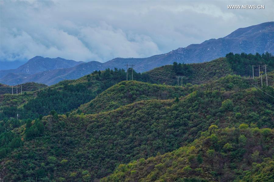 CHINA-HEBEI-SCENIC SPOT-AUTUMN SCENERY (CN)