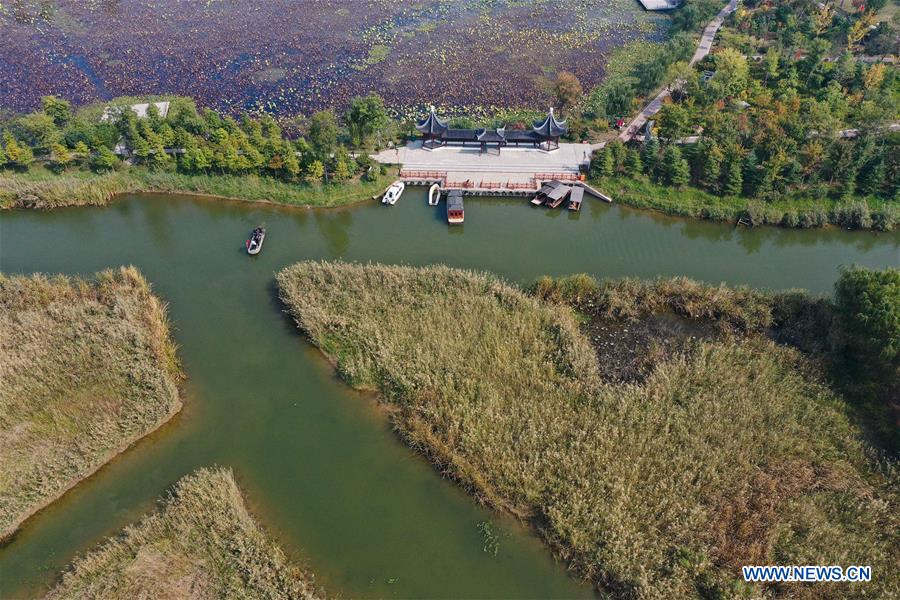 CHINA-JIANGSU-SUINING-WETLAND (CN)