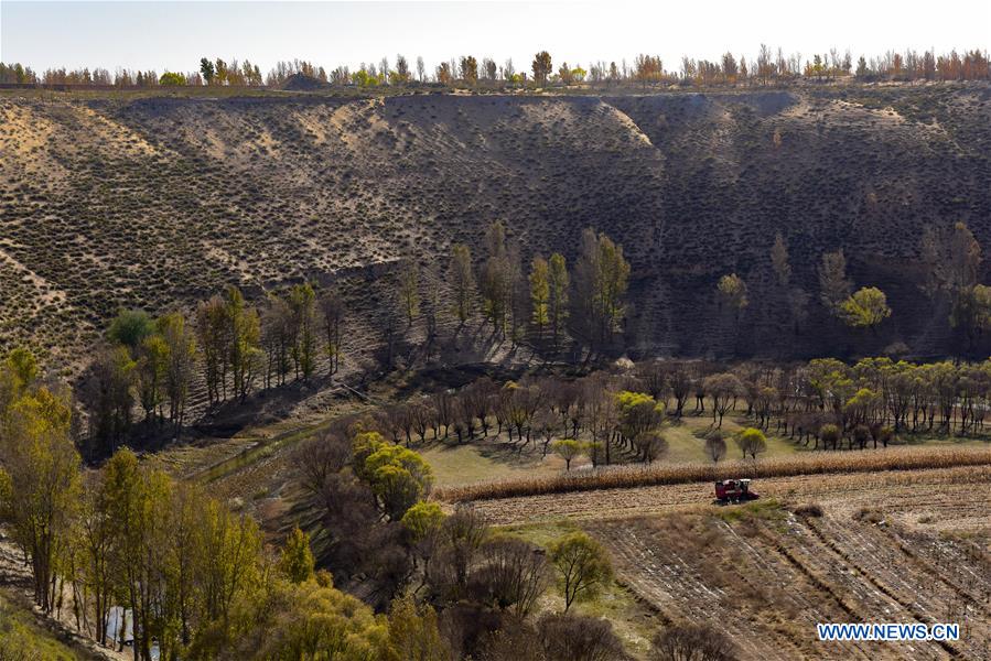 CHINA-INNER MONGOLIA-ORDOS-XARUSGOL RIVER (CN)