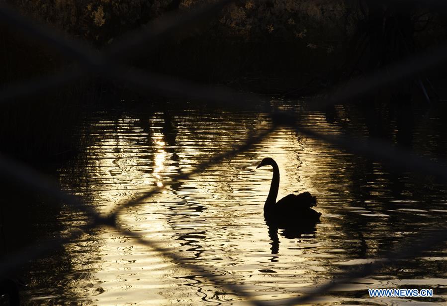 CHINA-SHANDONG-JINAN-WETLAND (CN)