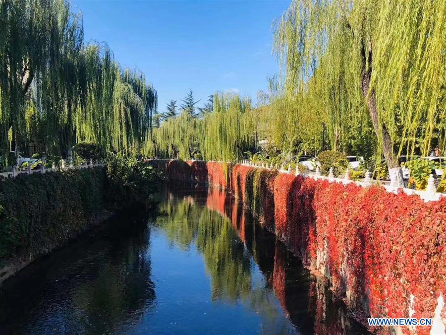 (BeijingCandid)CHINA-BEIJING-AUTUMN (CN)