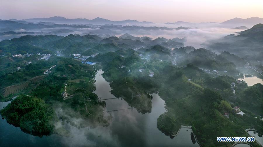 CHINA-ANHUI-LU'AN-TEA GARDEN-SCENERY (CN)