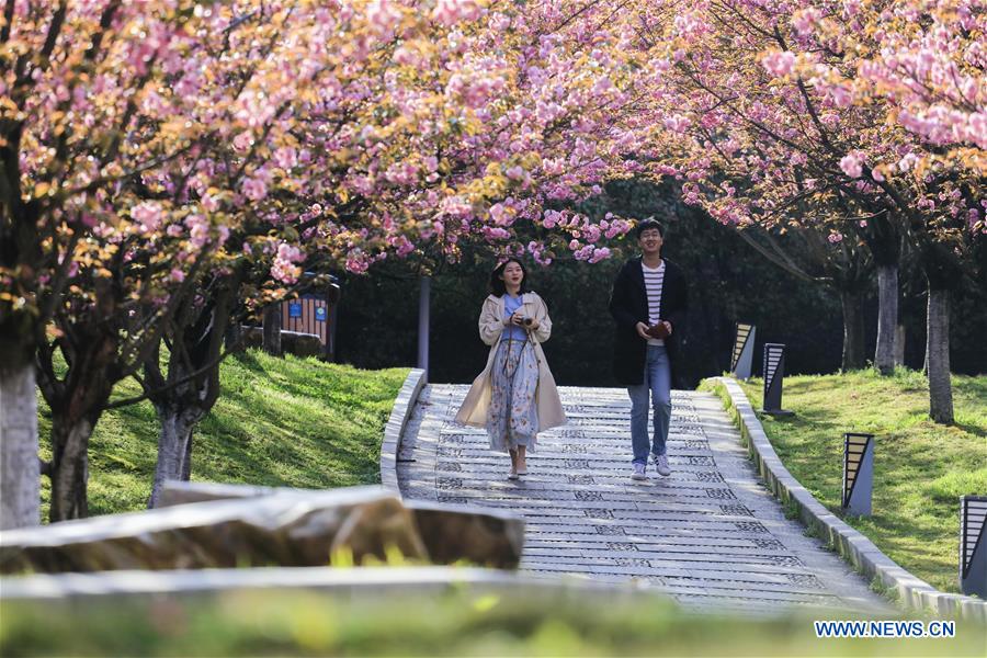 #CHINA-SPRING-LEISURE-FLOWER (CN)