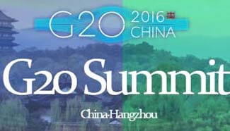 G20 Summit