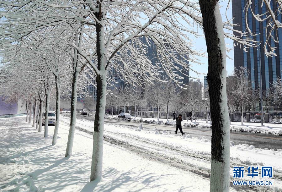 （环境）（3）沈阳春雪 