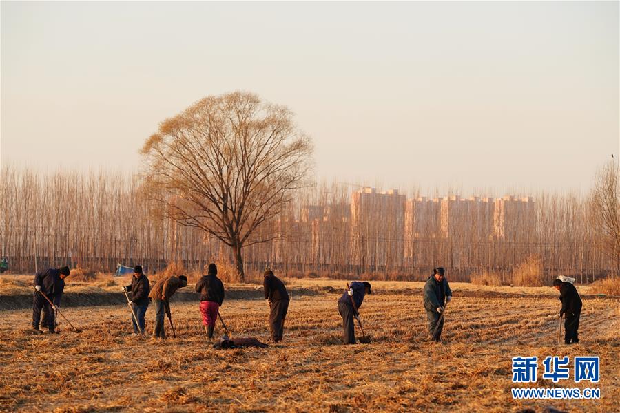 （图文互动）（7）国务院批复同意《河北雄安新区总体规划（2018—2035年）》 