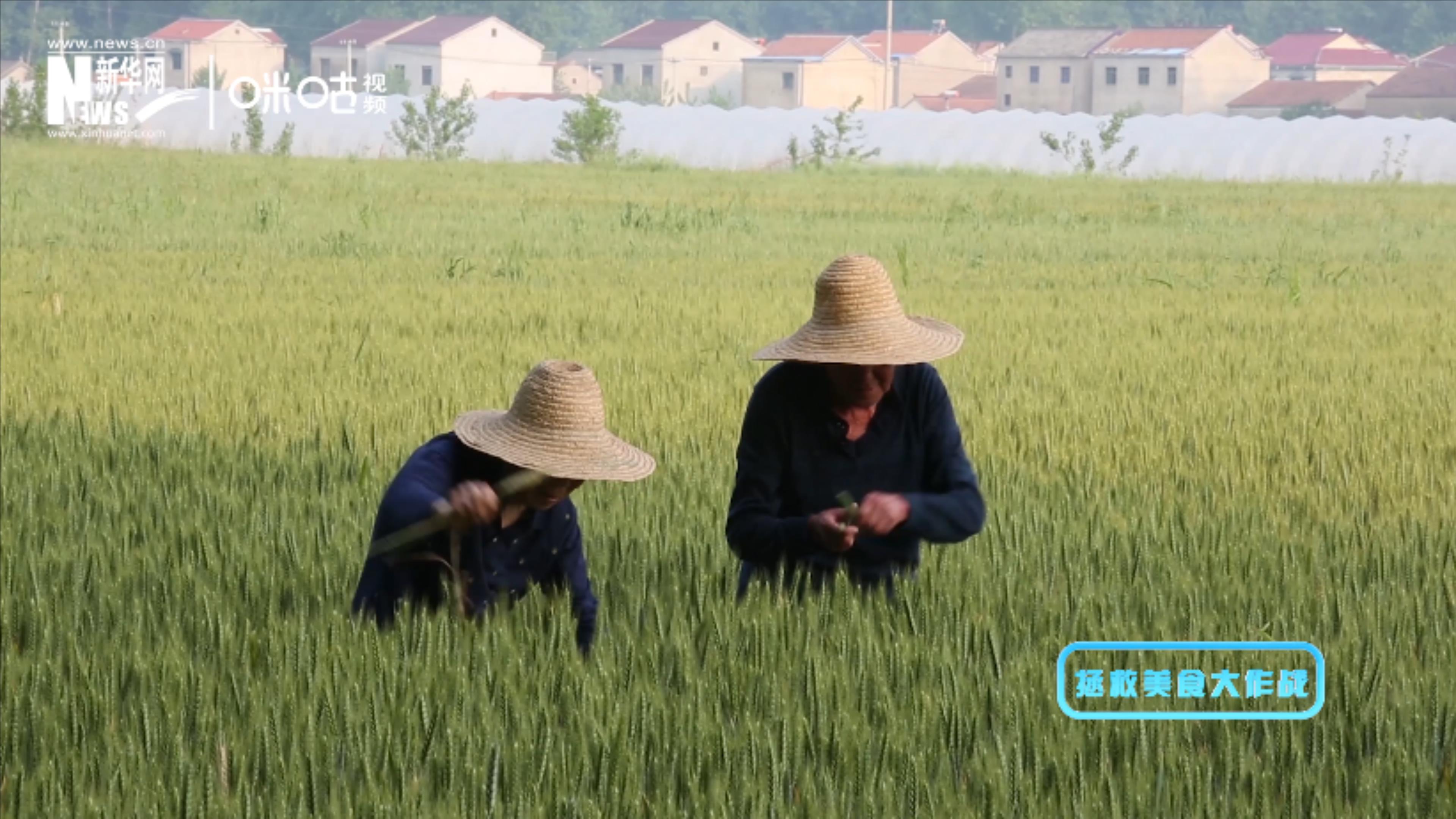 被浪费的不止是食物本身，还有生产粮食的资源、金钱和劳动力